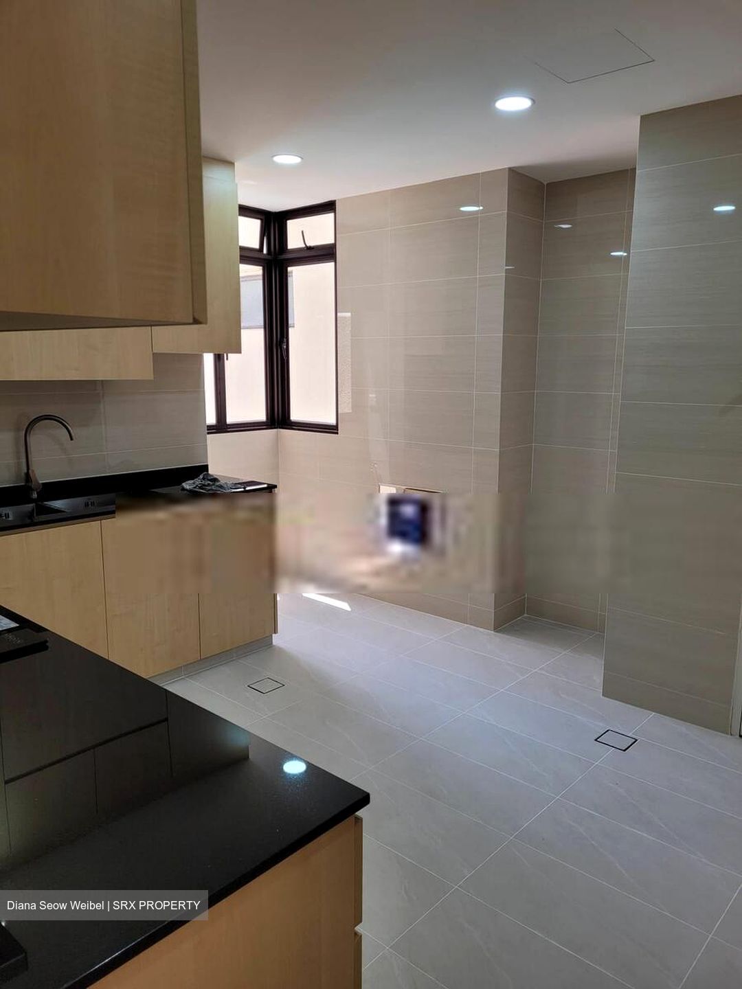 Sommerville Park (D10), Condominium #565620841